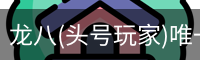 龙八(头号玩家)唯一官方网站
